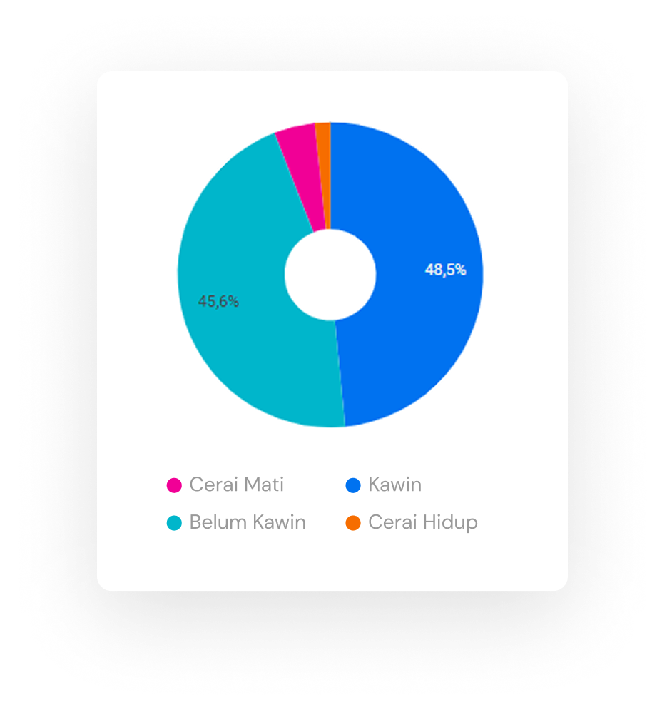 Pie Chart